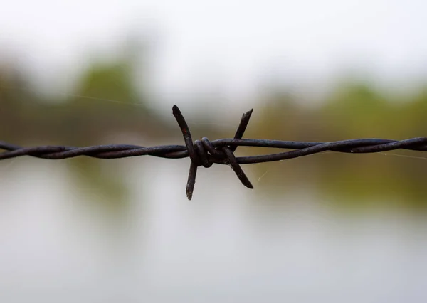 Close Old Barbed Wire Fence — Stock Photo, Image