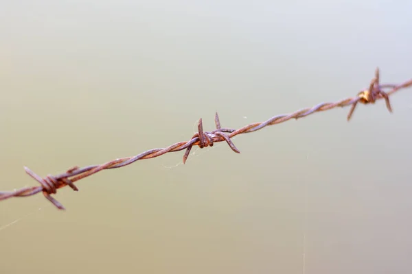 Close Old Barbed Wire Fence — Stock Photo, Image
