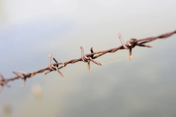 Close Old Barbed Wire Fence Ant — Stock Photo, Image