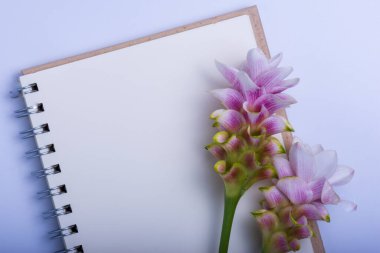 Beyaz arkaplanda Not Defteri ve Siyam Lalesi