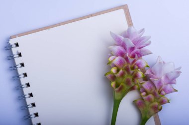 Beyaz arkaplanda Not Defteri ve Siyam Lalesi