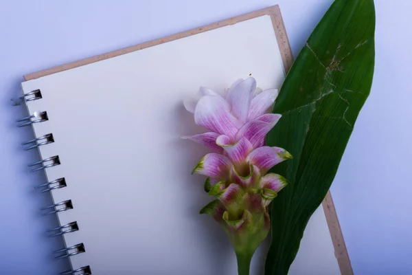 Beyaz arkaplanda Not Defteri ve Siyam Lalesi