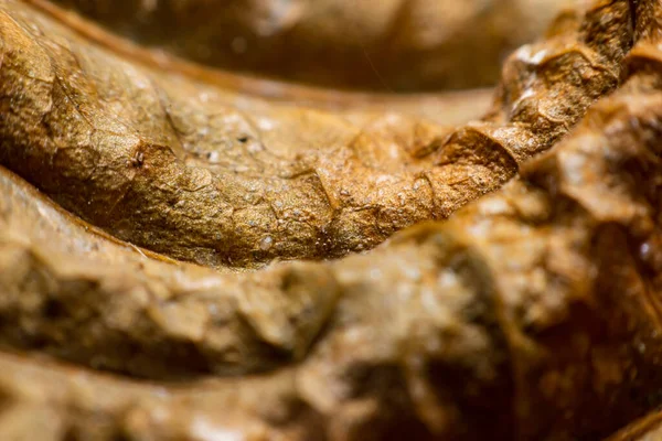 Kurumuş yaprakların kenarlarını kapat