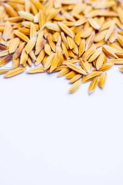 Kapat aromayı, beyaz arka plandaki ıslak tahılları..