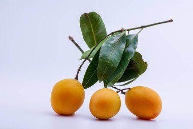 Maprang beyaz arkaplan taktı.