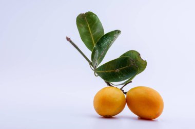 Maprang beyaz arkaplan taktı.