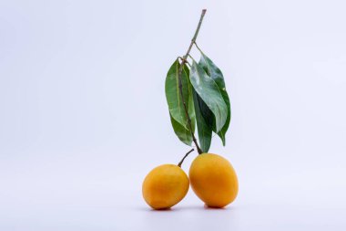 Maprang beyaz arkaplan taktı.