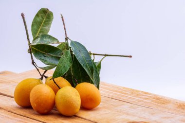 Maprang ahşap zemini taktı.