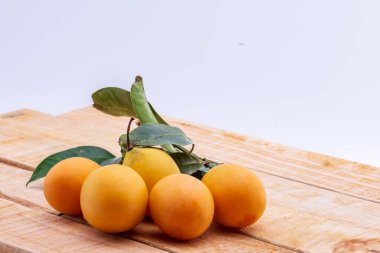 Maprang ahşap zemini taktı.