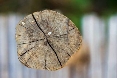 Köprüde kanalı geçmek için tahta direkler var.