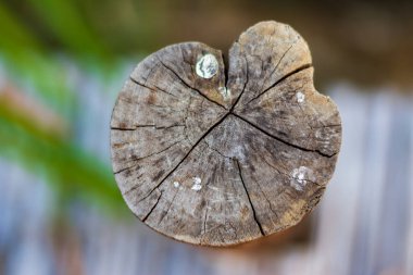 Köprüde kanalı geçmek için tahta direkler var.
