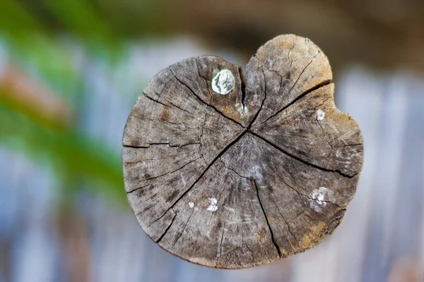 Köprüde kanalı geçmek için tahta direkler var.