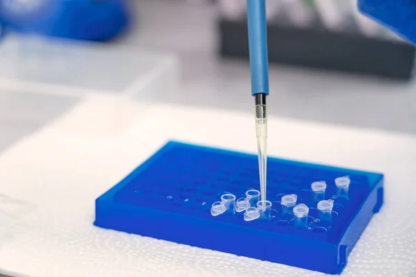 Laboratuvarda Hava Yer Değiştirme Mikro Pipetleri Renksiz Bir Reaksiyon Tüpünü — Stok fotoğraf