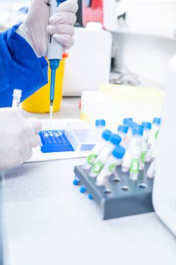 Laboratuvarda hava yer değiştirme mikro pipetleri renksiz bir reaksiyon tüpünü dolduruyor..