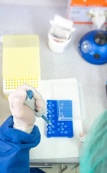 Medical Lab Scientists Laboratory Using Air Displacement Micro Pipettes Filling — Stock Photo, Image