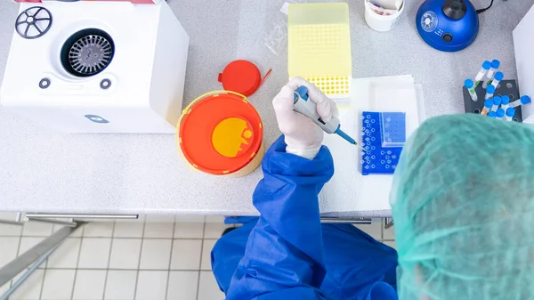 Medical Lab Scientists Laboratory Using Air Displacement Micro Pipettes Filling — Stock Photo, Image