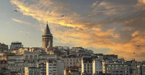 Cityscape Part Istanbul City Showing Homes Galata Tower Sunset — Stok fotoğraf