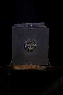 one owl shows her heads from a wooden bird house