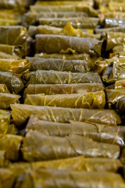 Grape leaves with parsley and lemons called Dolma , made from vines with rice, meat and spices.Filled view of delicious, stuffed 