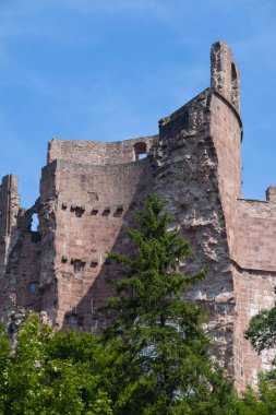 Heidelberg Palace From behind the trees