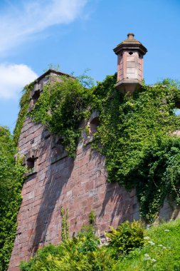 Heidelberg wall of Palace From behind the trees