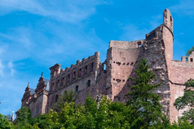 Heidelberg Palace From behind the trees