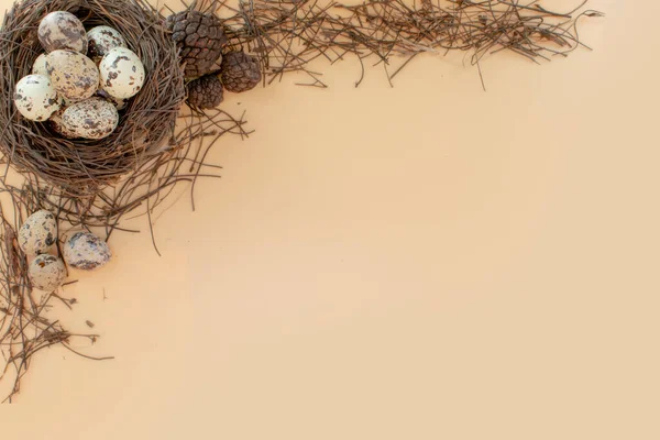 ウズラの卵の巣と書き込みスペースイースターの背景 — ストック写真