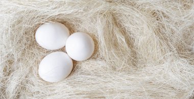 Tavuk yuvasında üç yumurta ve beyaz saman..
