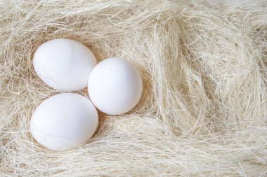 Tavuk yuvasında üç yumurta ve beyaz saman..