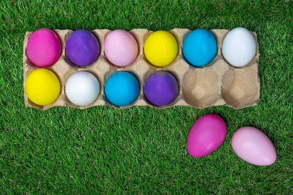 Colored Easter eggs in egg carton on grass with paint brushes