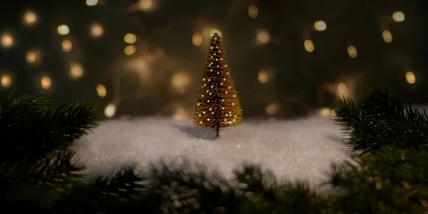 Рождественская Елка Зимнем Режиме — стоковое фото