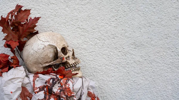 Halloween decoration with skull and red autumn leaves on white background.