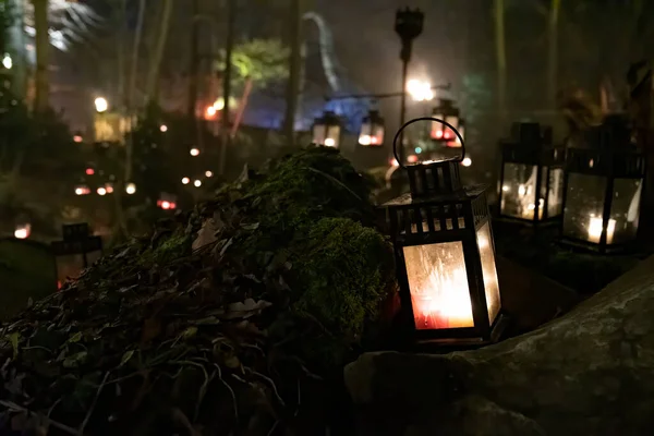 Lanterna Iluminada Uma Floresta Escura Com Várias Lanternas Por Trás — Fotografia de Stock