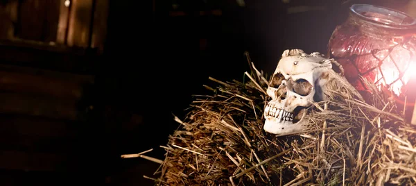 Vampyrskalle Halmhög Och Stearinljus Halloween — Stockfoto