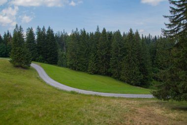 Alplerdeki tepeler yaz dağları arka planda.