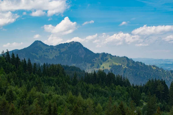 Alperna Med Färska Gröna Ängar Och Träd Skog Berget Solig — Stockfoto