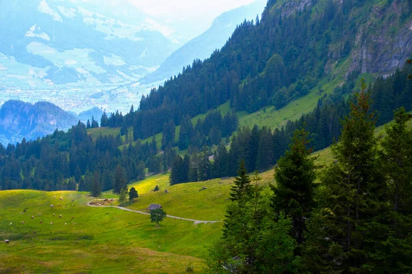 Utsikt Över Vackra Landskap Alperna Med Färska Gröna Ängar Och — Stockfoto