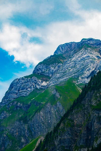 스위스의 바위와 나무들이 산봉우리들 — 스톡 사진