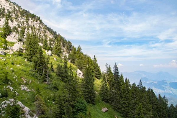 view of beautiful landscape in the Alps with fresh green meadows and  trees of forest at mountain sunny day with blue sky and clouds in springtime.