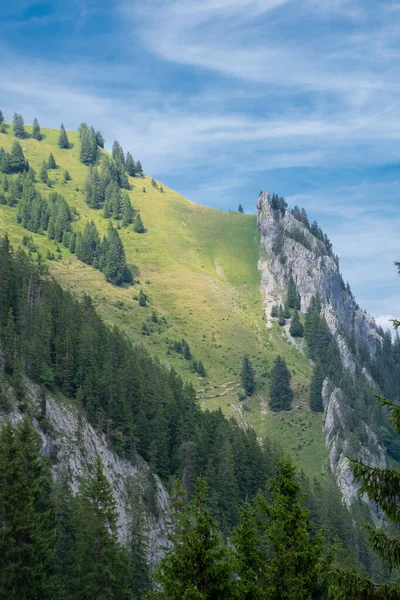 Utsikt Över Vackra Landskap Alperna Med Färska Gröna Ängar Och — Stockfoto