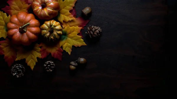 Autumn Pumpkin Fall Colored Leaves — Stock Photo, Image