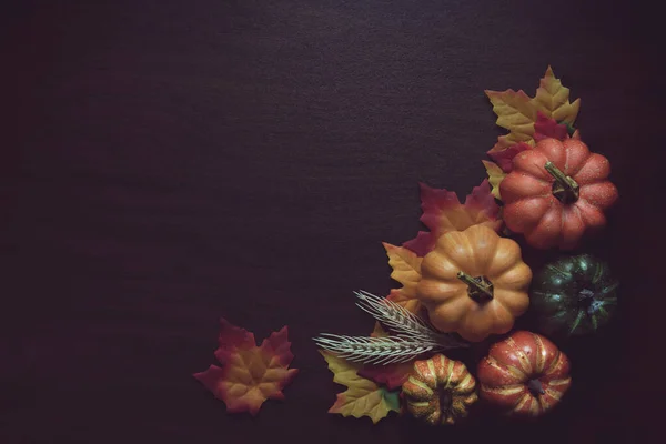 Calabaza Otoño Hojas Color Otoño — Foto de Stock