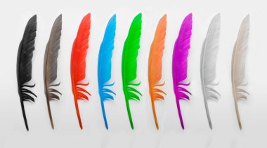 Beyaz arkaplanda izole edilmiş farklı renkte tüy