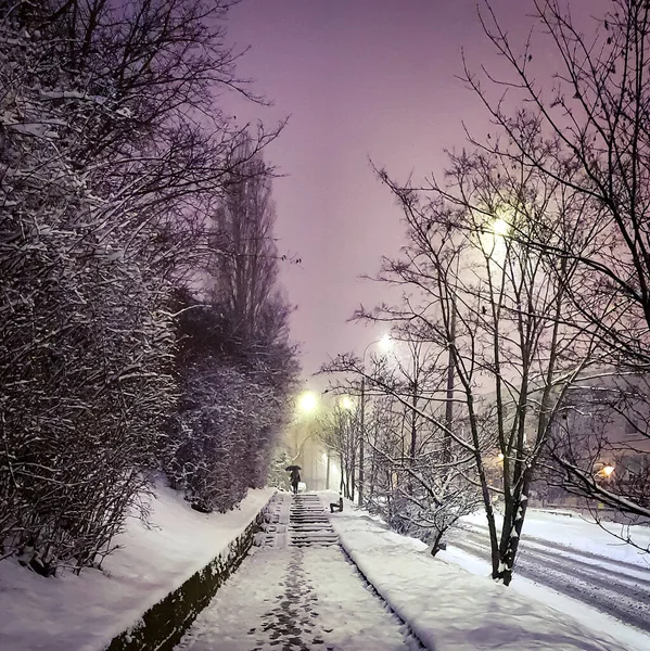 Чудовий Зимовий Клімат Засніженою Стежкою Сходами Кольорах Ранку Гдиня Польща — стокове фото