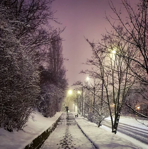 Wspaniały Klimat Zimowy Pokryty Śniegiem Chodnik Schody Kolorach Poranka Gdynia — Zdjęcie stockowe