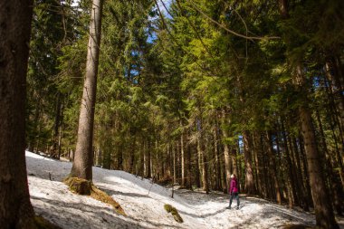 Güneşli bir günde, dağ ormanında genç bir kadın ileriye bakıyor.