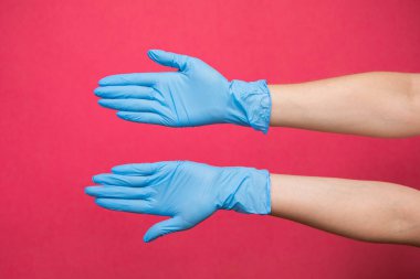 Kadın elleri pembe arka planda nitril eldiven giyiyor. Yüksek kalite fotoğraf