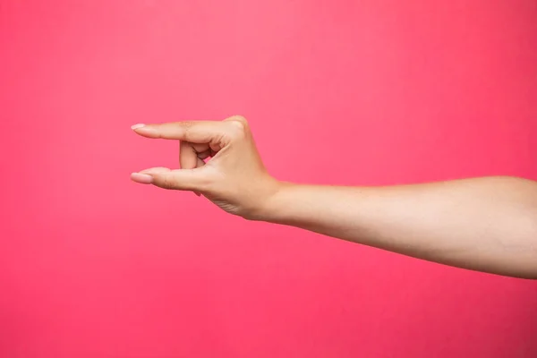Empty Female Hand Pretending Holding Something Isolated Pink Background High — 스톡 사진
