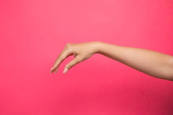 Boş kadın eli pembe arka planda izole edilmiş bir şeyi tutuyormuş gibi yapıyor. Yüksek kalite fotoğraf