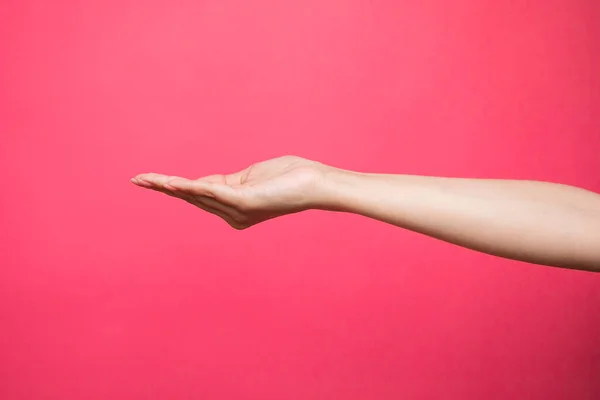 Empty Female Hand Pretending Holding Something Isolated Pink Background High — 스톡 사진